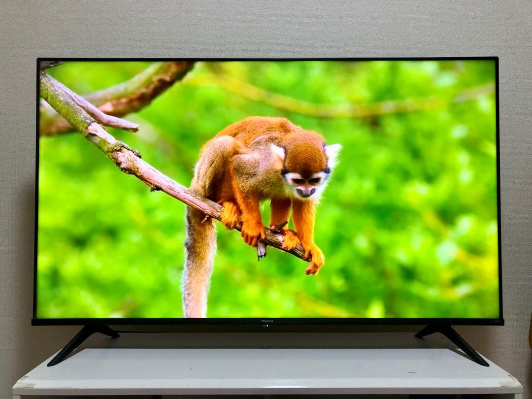 ハイセンス 50V型 液晶テレビ 4Kチューナー内蔵 50E6G 動画アプリ搭載