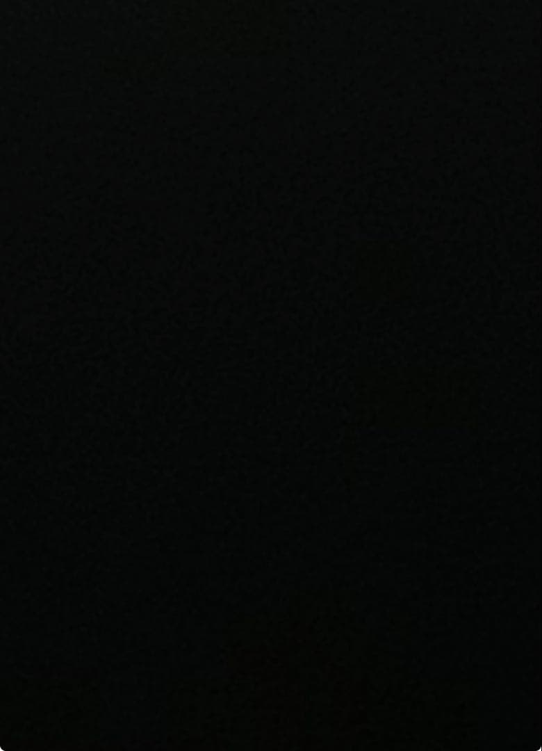 専用JULIUS ユリウス