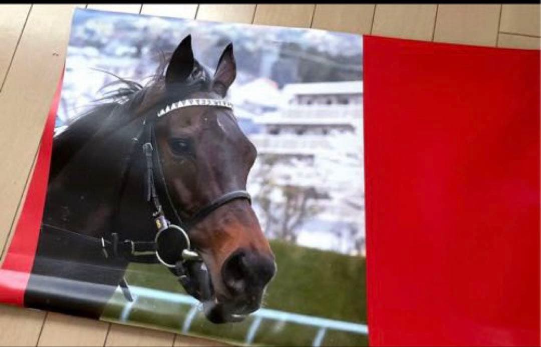 な³☆実際に使用!JRA 競馬バナー天皇賞秋　ポタジェレッドガロン（表裏）