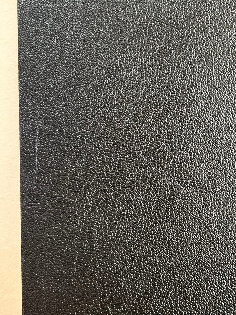 FERNANDES Lucy KANOKE 棺桶 BUCK-TICK 今井寿