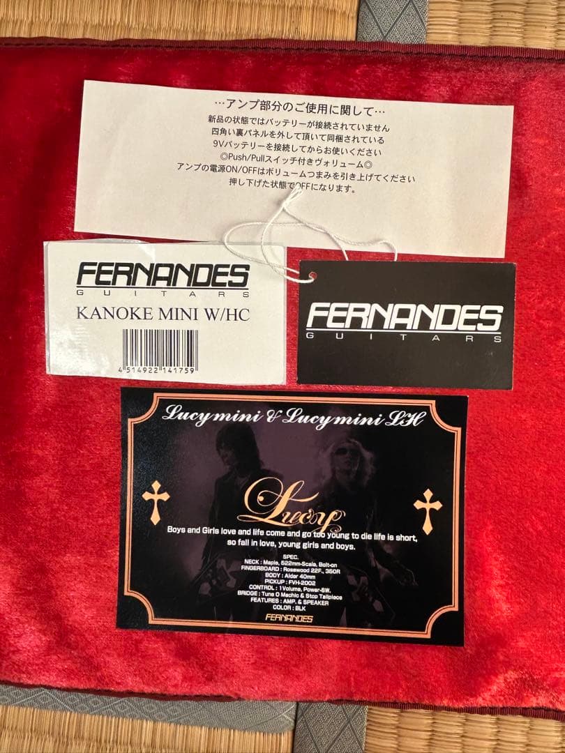 FERNANDES Lucy KANOKE 棺桶 BUCK-TICK 今井寿