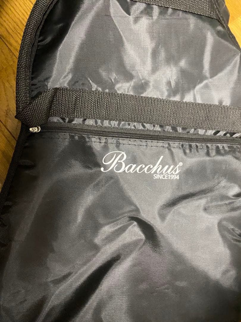 ギター Bacchus BTE-1 RSM/M CAR