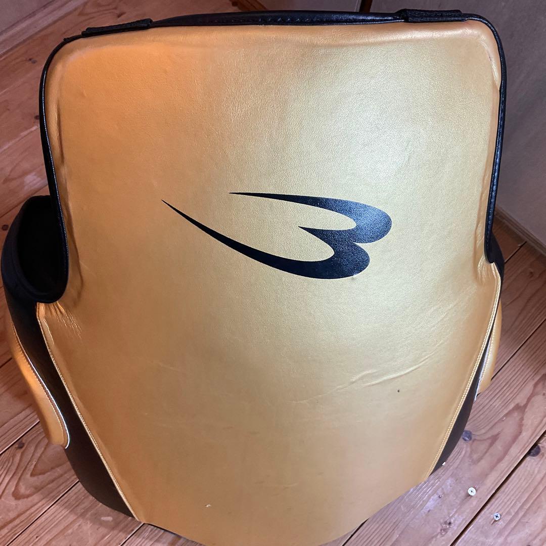 極美品！ボディメーカー プロテクター LIMITED MODEL フリーボディ