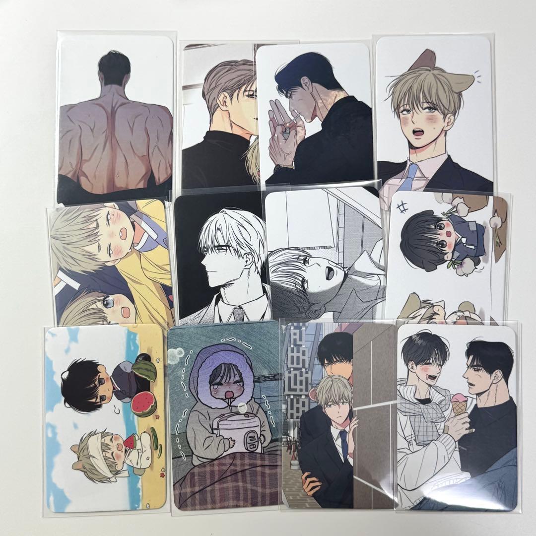 韓国BL 恋愛制限区域 日刊アルバ 完全12枚セット 訪問カード