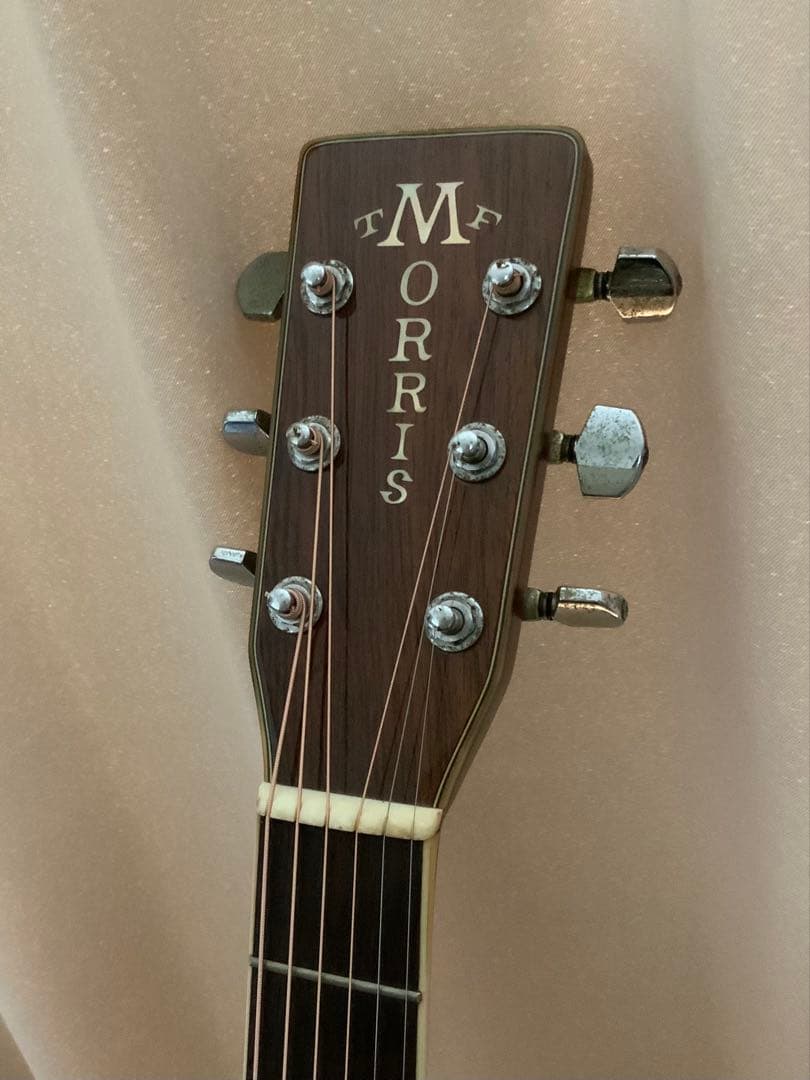 ギター MORRIS W-50
