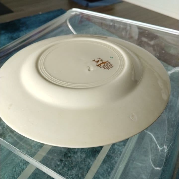 スージークーパー パトリシアローズグリーンプレート直径20センチ  アンティーク