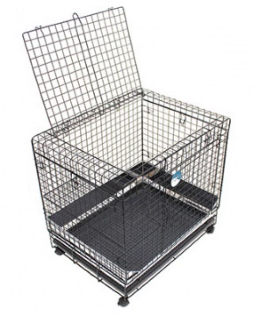 お値下げ！うさぎのしっぽ プロケージ60