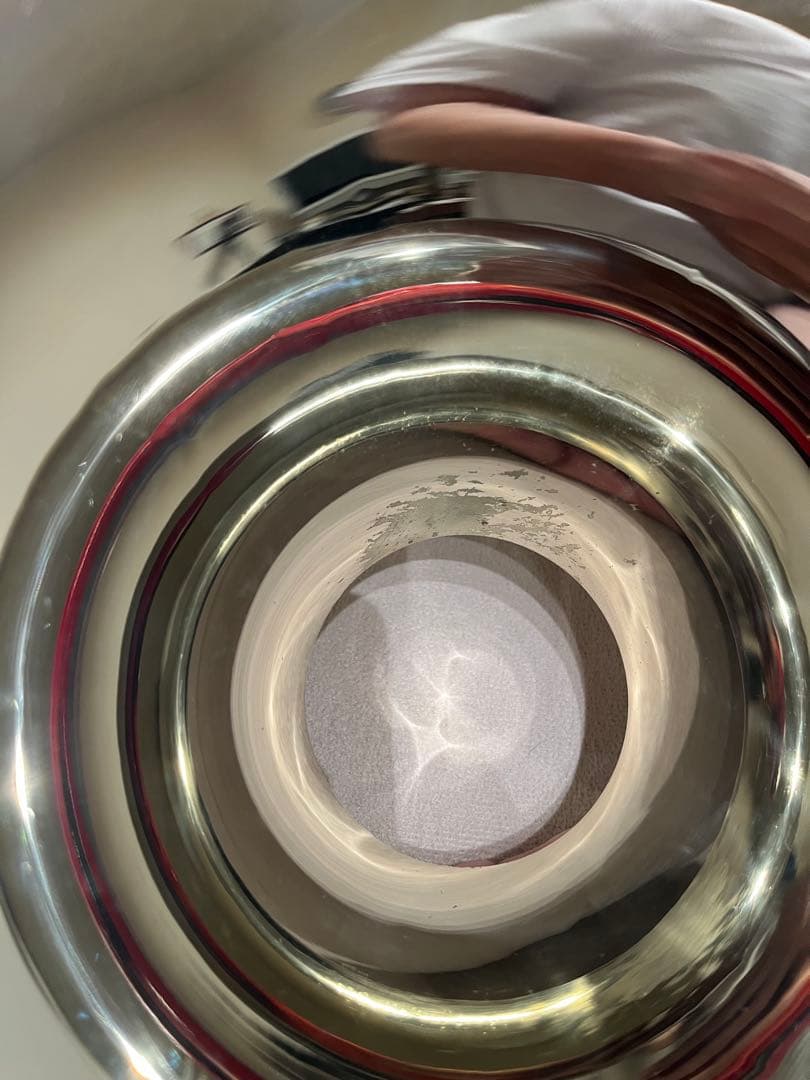 ホルトン フレンチホルン GH479 ケース付き