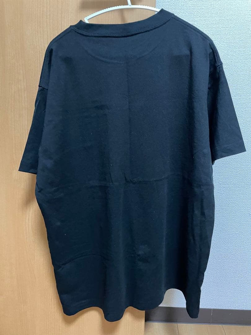 MY FIRST STORY tシャツ　championコラボ