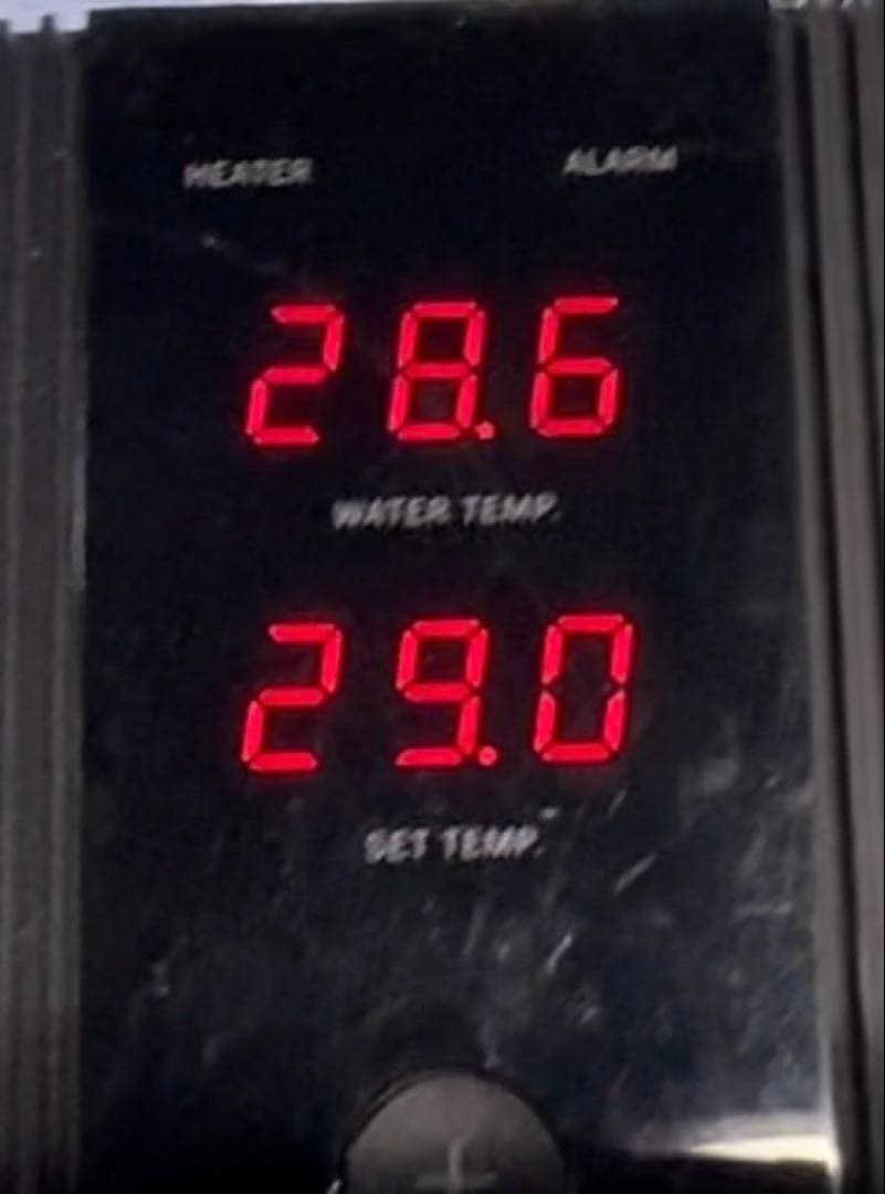 ニッソープロテクトヒーターストロングセーフ1000とシーパレックスV-1000