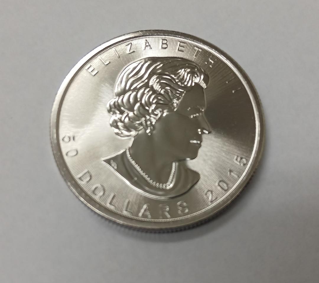 プラチナ メイプルリーフ  1オンス 31.1g 流通品 Ptインゴット