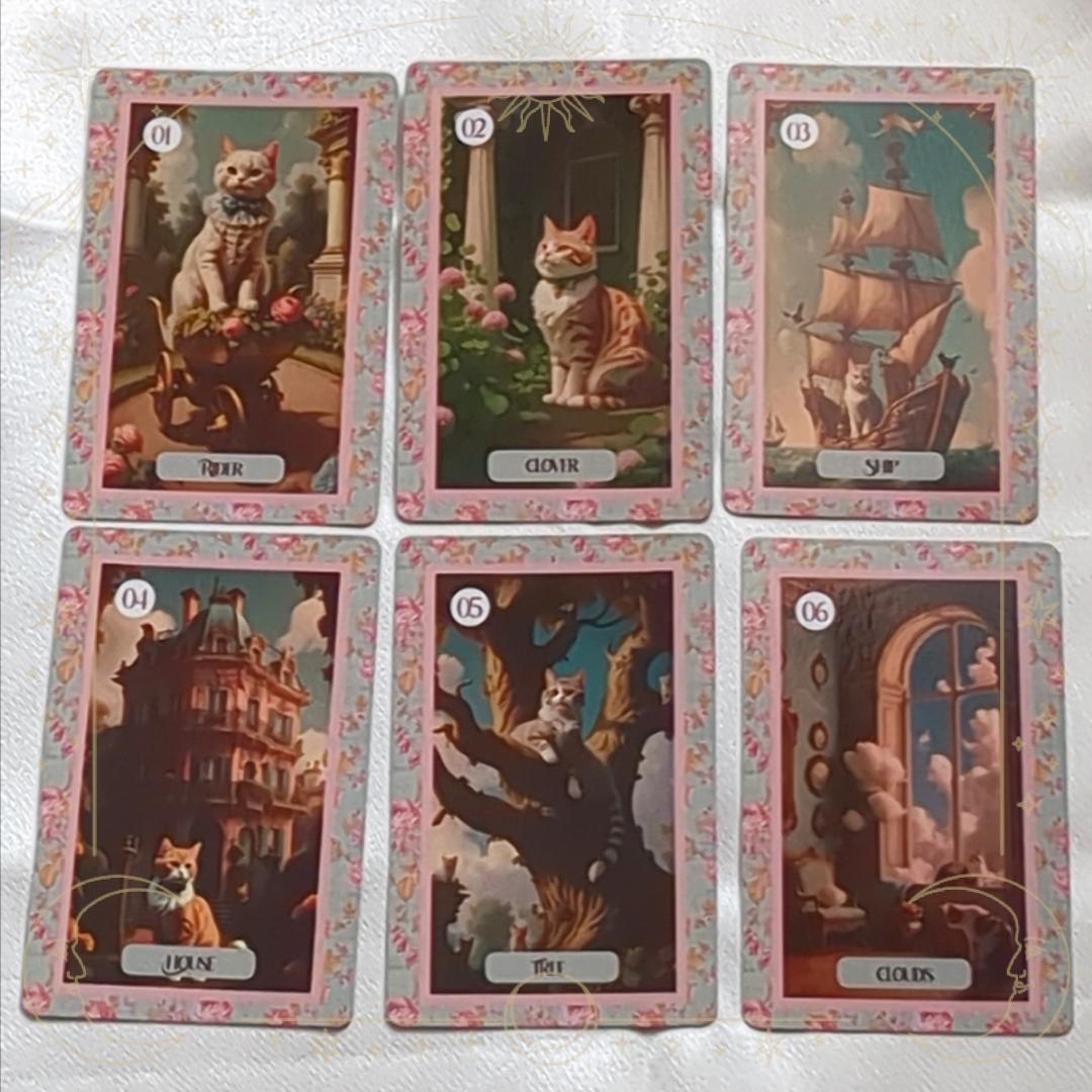入荷1点のみ✨スペイン作家のキュートデッキ✨柔らか猫ちゃんのルノルマンカード