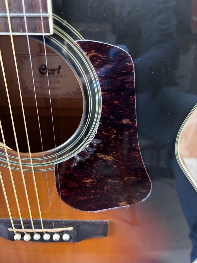 トップ単板Cort CJ3Vフレイムメイプルサイド、バック 音量大きめ 美品