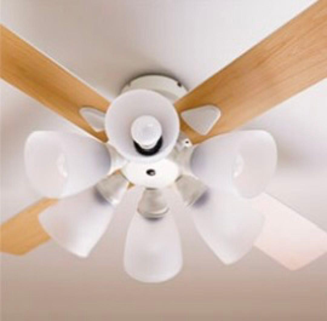 Lasvolta 6L シーリングファンライト 6灯