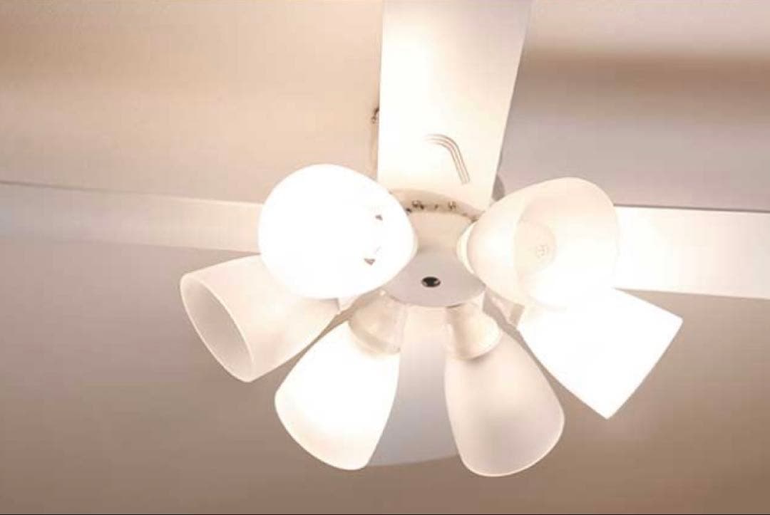 Lasvolta 6L シーリングファンライト 6灯