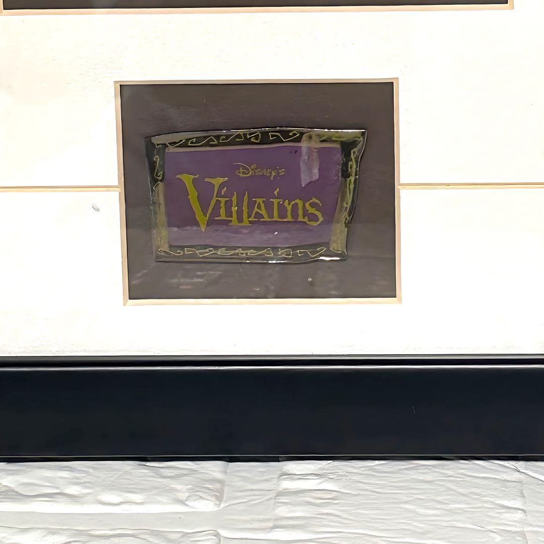 ディズニー　ヴィランズ　世界1000枚限定　ピンバッジ　額装ピンセット
