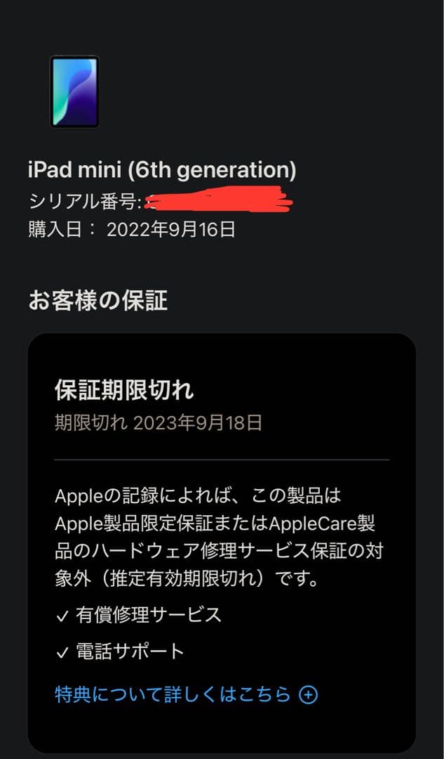 iPad mini 6(第6世代)WI-FIモデル256 GB A2567