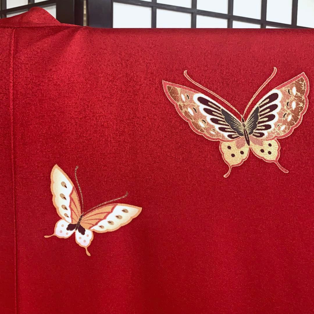 m*k様 【大特価】振袖　6点セット　蝶柄　花車　友禅　身丈166cm 朱赤系