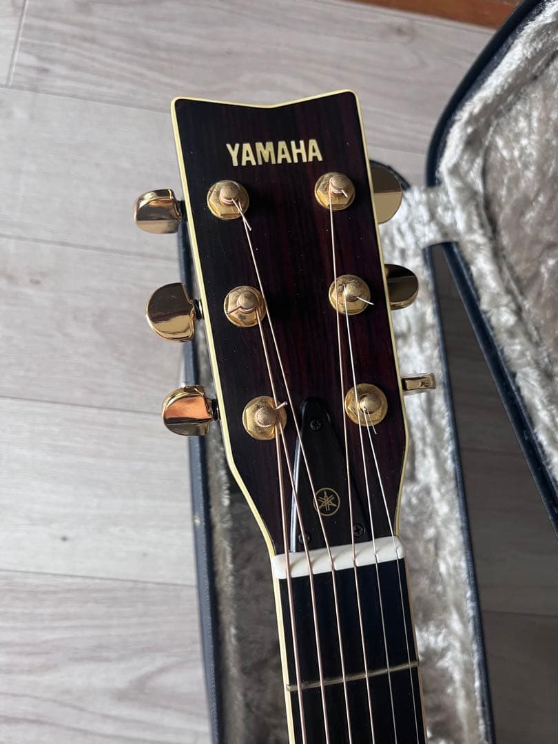 ギター Yamaha L8