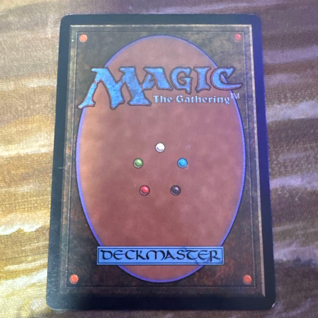 適者生存　日本語　再録禁止　キズあり