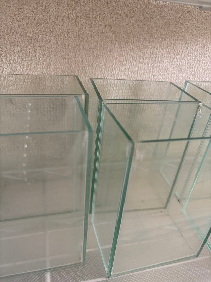 限定値引き　ベタコレクションケースS まとめ売り