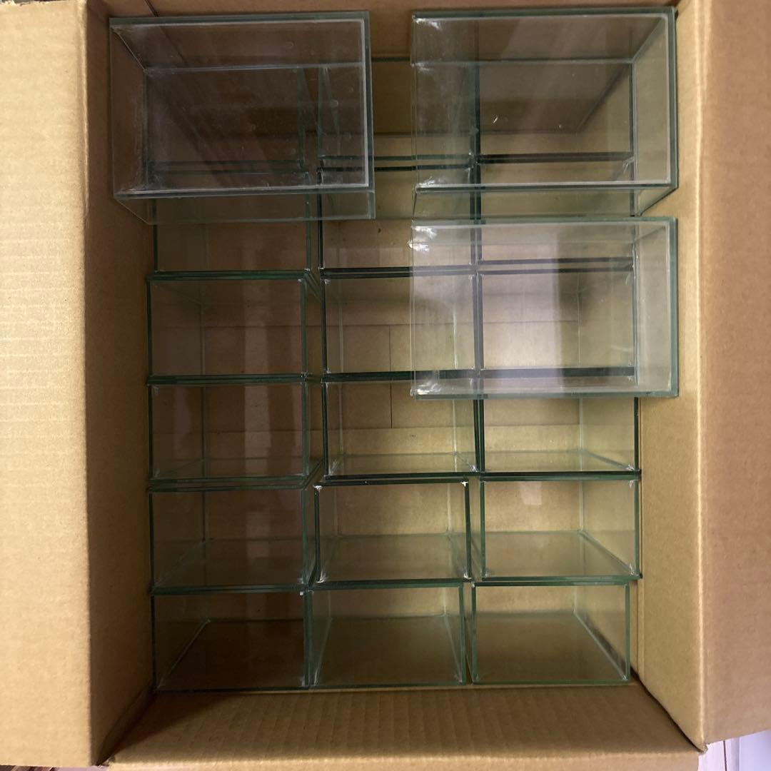 限定値引き　ベタコレクションケースS まとめ売り