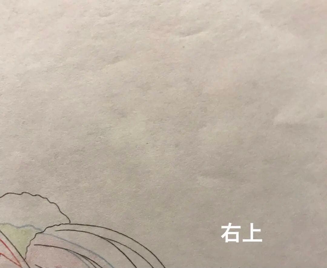 カードキャプターさくら　動画