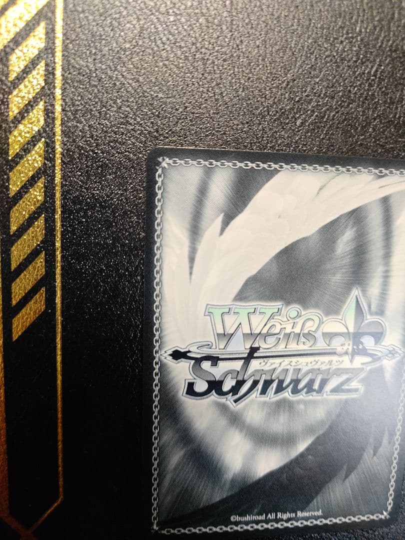 Dream Believers 大沢 瑠璃乃　SEC