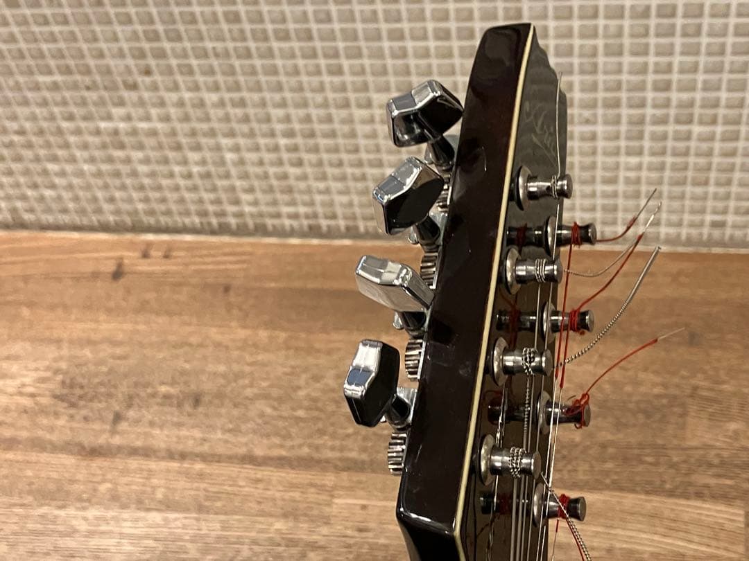 aria エレキマンドリン (Ritter ケース付き)