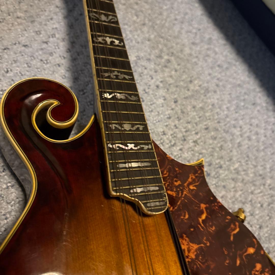 Samick Fタイプ フラットマンドリン ハードケース付き