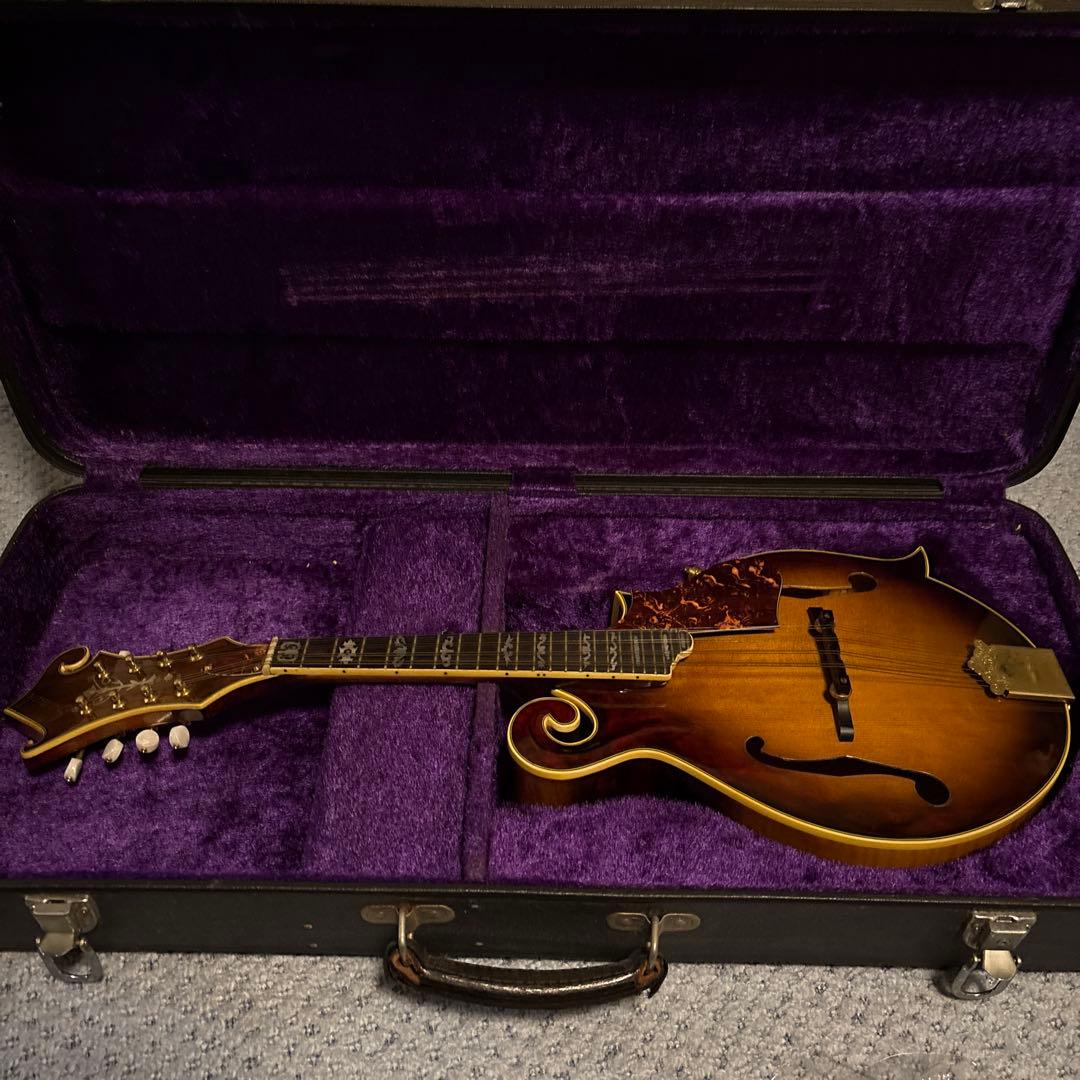 Samick Fタイプ フラットマンドリン ハードケース付き