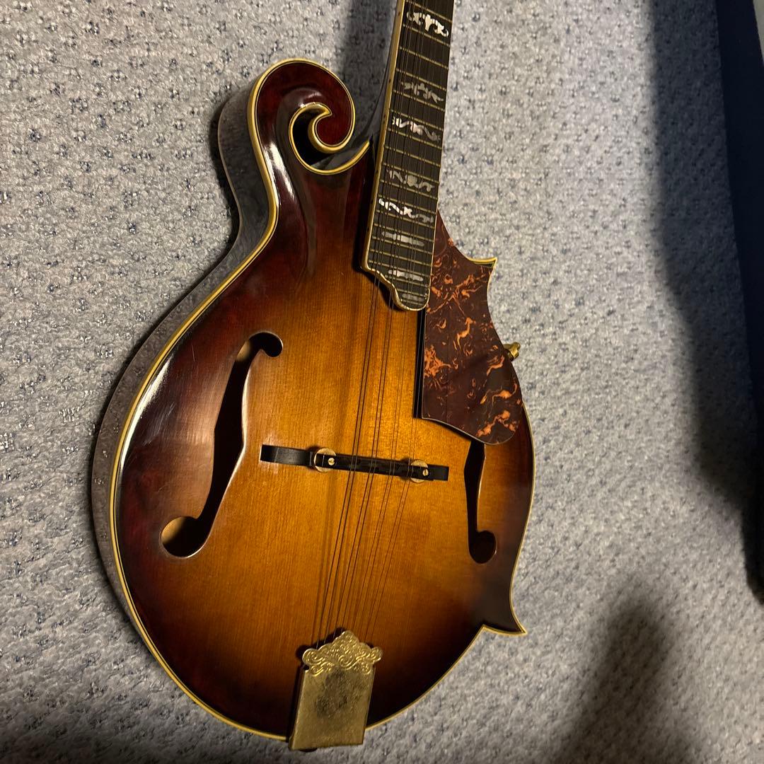 Samick Fタイプ フラットマンドリン ハードケース付き