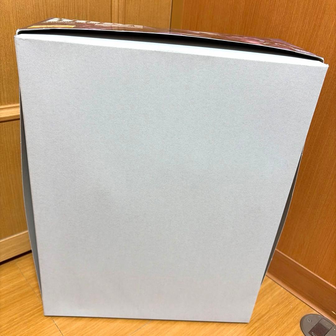 バンダイ 機動戦士ガンダム MG 1/100 ドム