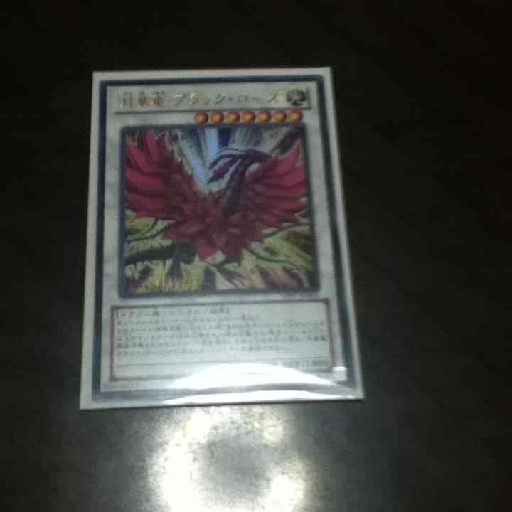 コメントくださいお願いします。遊戯王