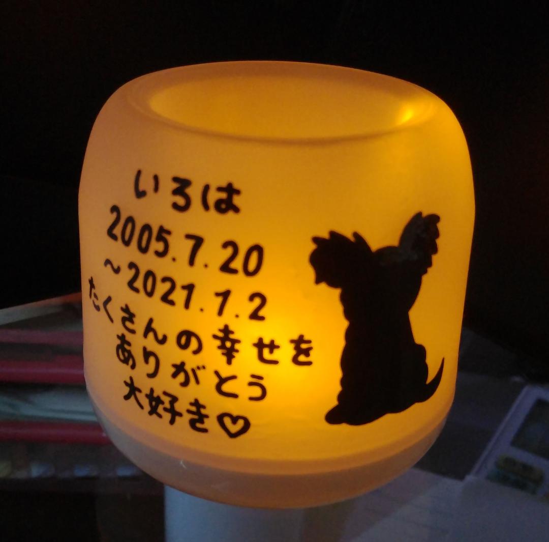 確認用♥タレテルゥ様♥