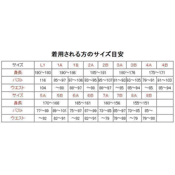 陸上自衛隊 リップストップ 迷彩服 ４A