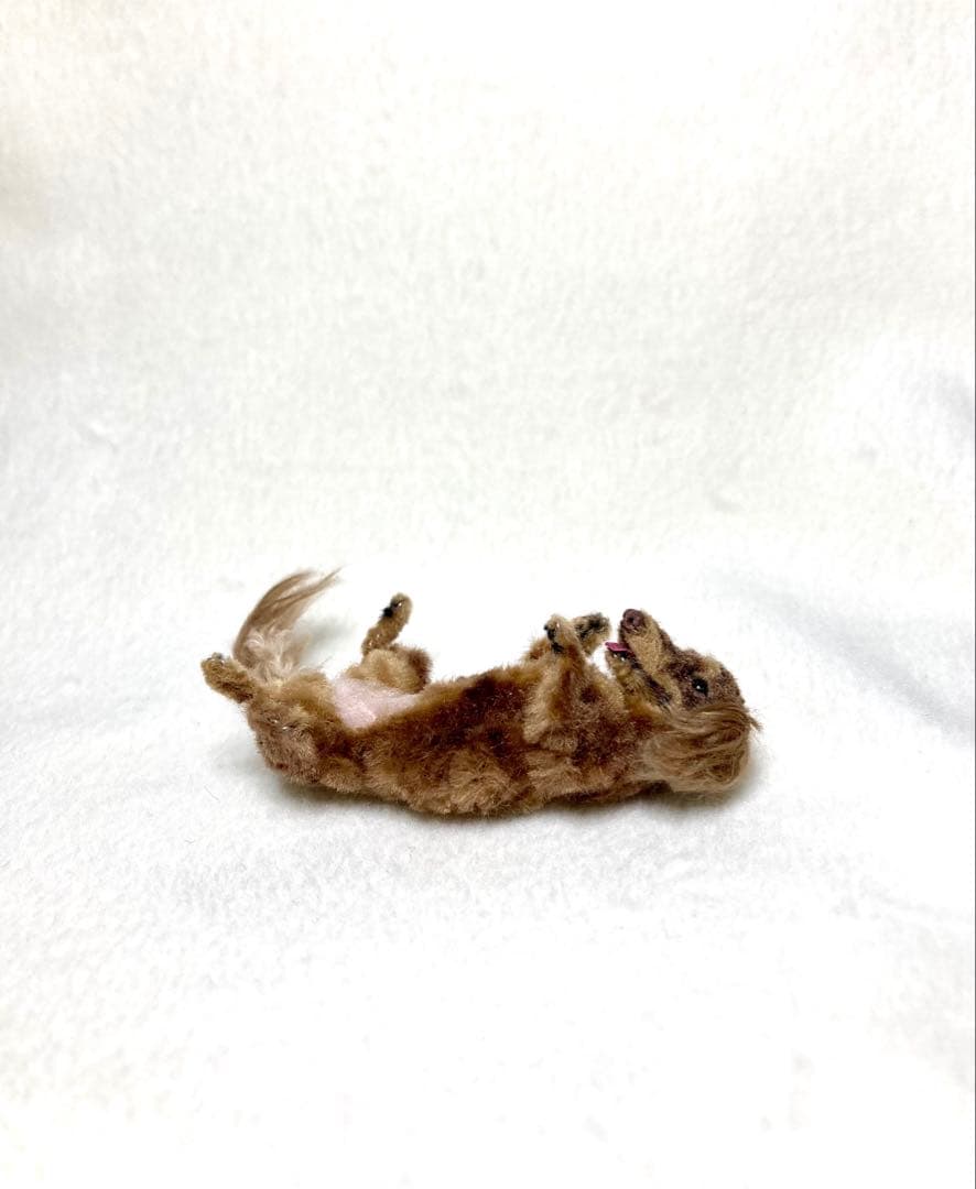 モールアート☆ミニダックス☆へそてん