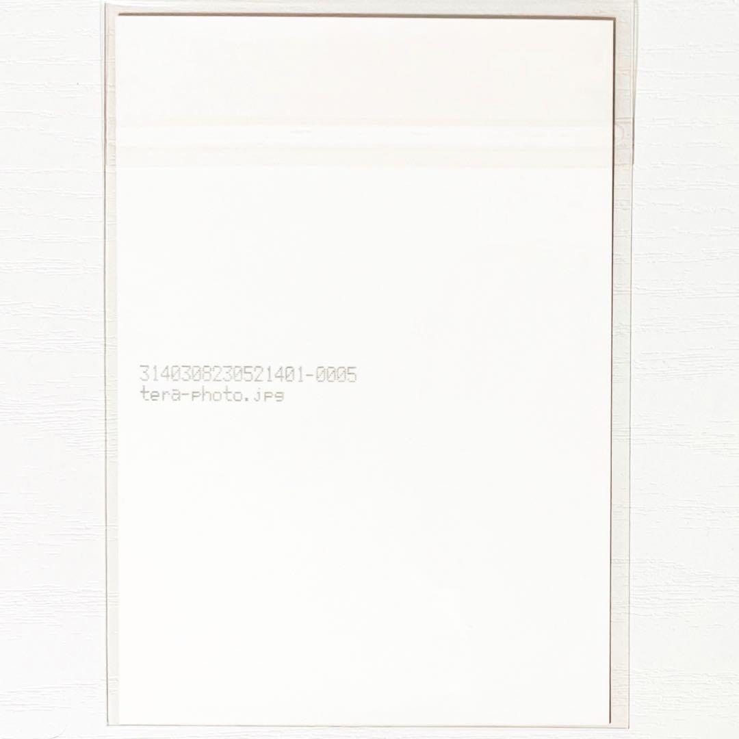 新品★V系★NEVERLAND★twilight★特典★ブロマイド★4点セット