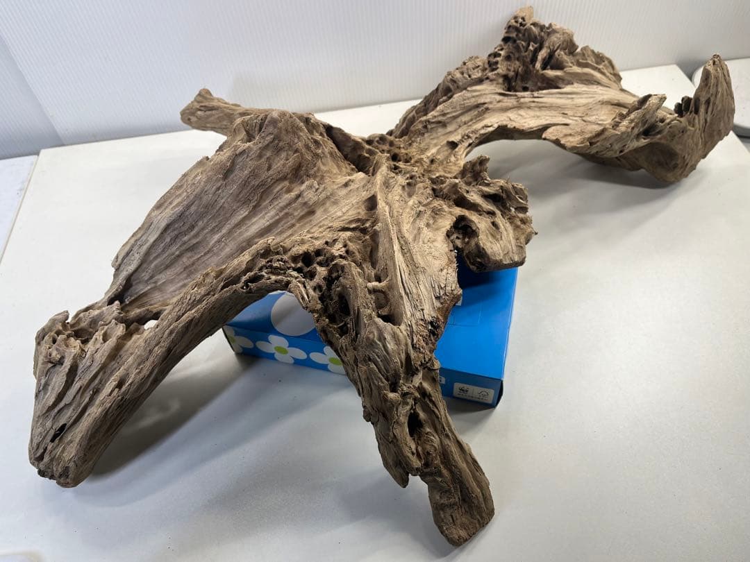 m77大型流木 アク抜き済み 爬虫類シェルター レイアウト用 インテリア 登り木