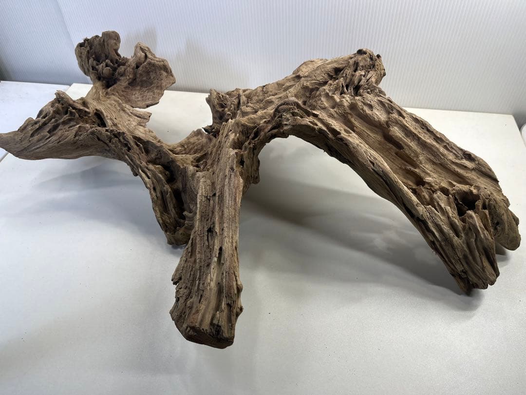m77大型流木 アク抜き済み 爬虫類シェルター レイアウト用 インテリア 登り木