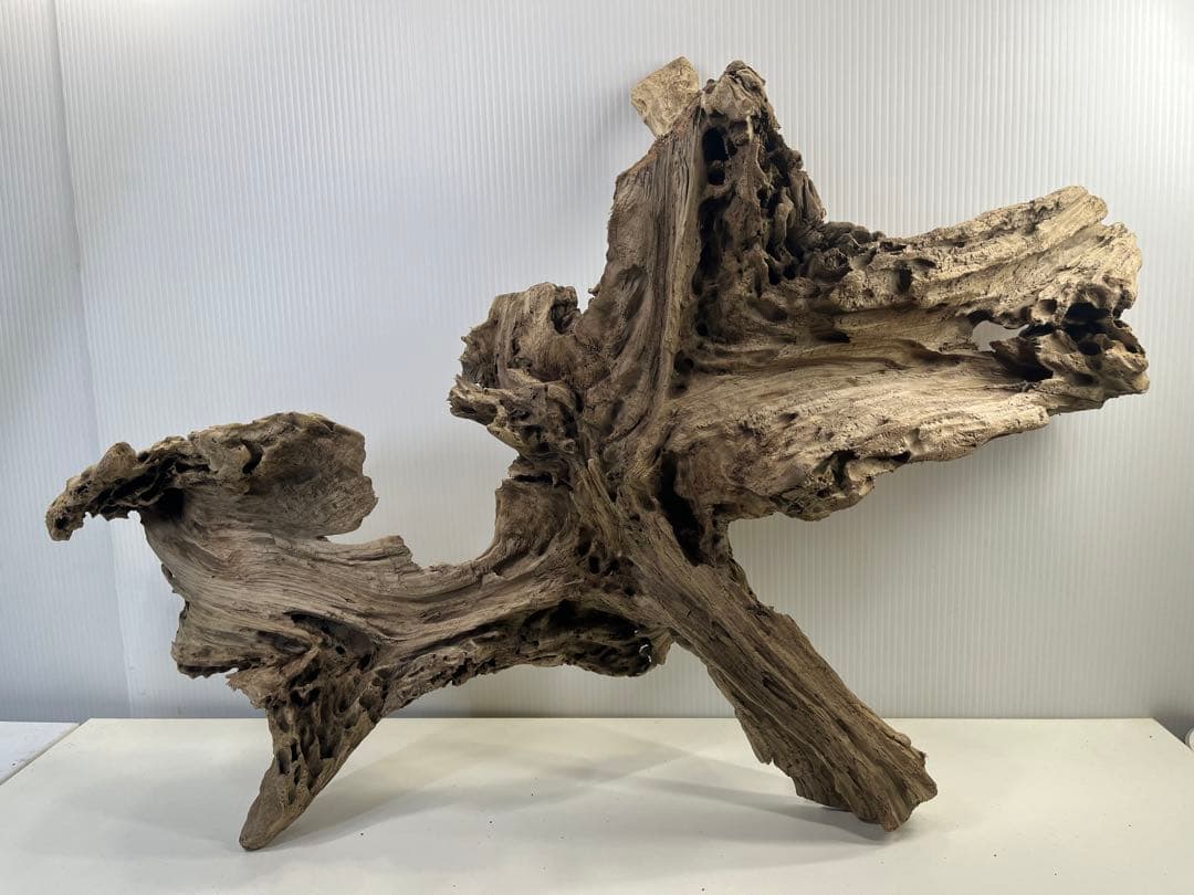 m77大型流木 アク抜き済み 爬虫類シェルター レイアウト用 インテリア 登り木