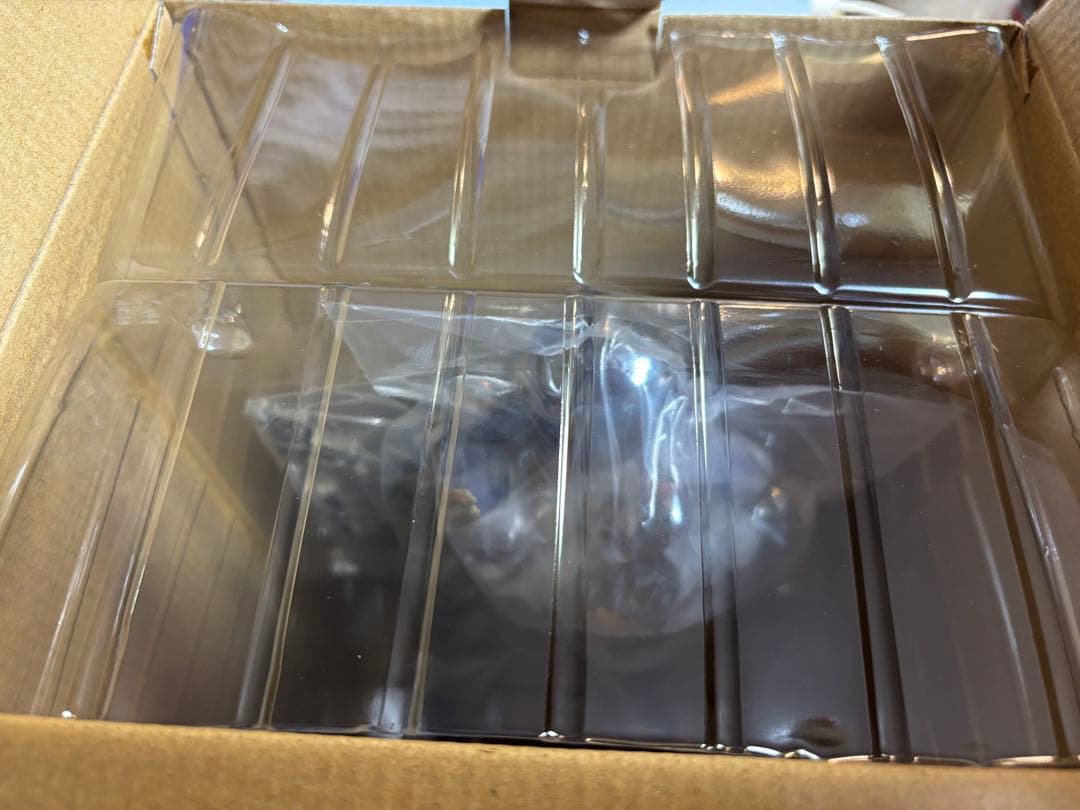 BIOHAZARD RE:2 バイオハザード コレクターズ エディション