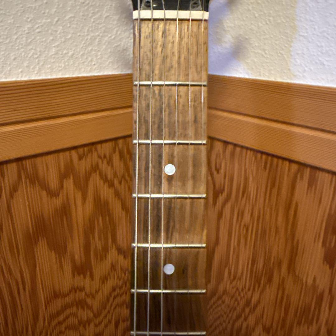 ターゲット モッキンバード TARGET BY FERNANDES HIDE