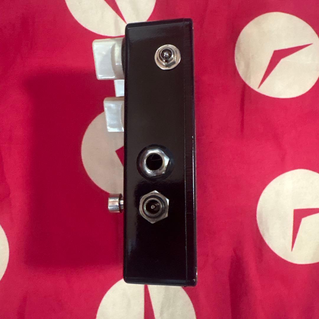 ギター Vivie CALLION