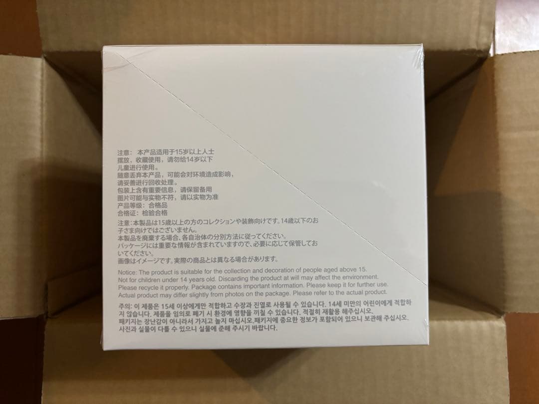 Azu　POPMART LABUBU Big into Energy