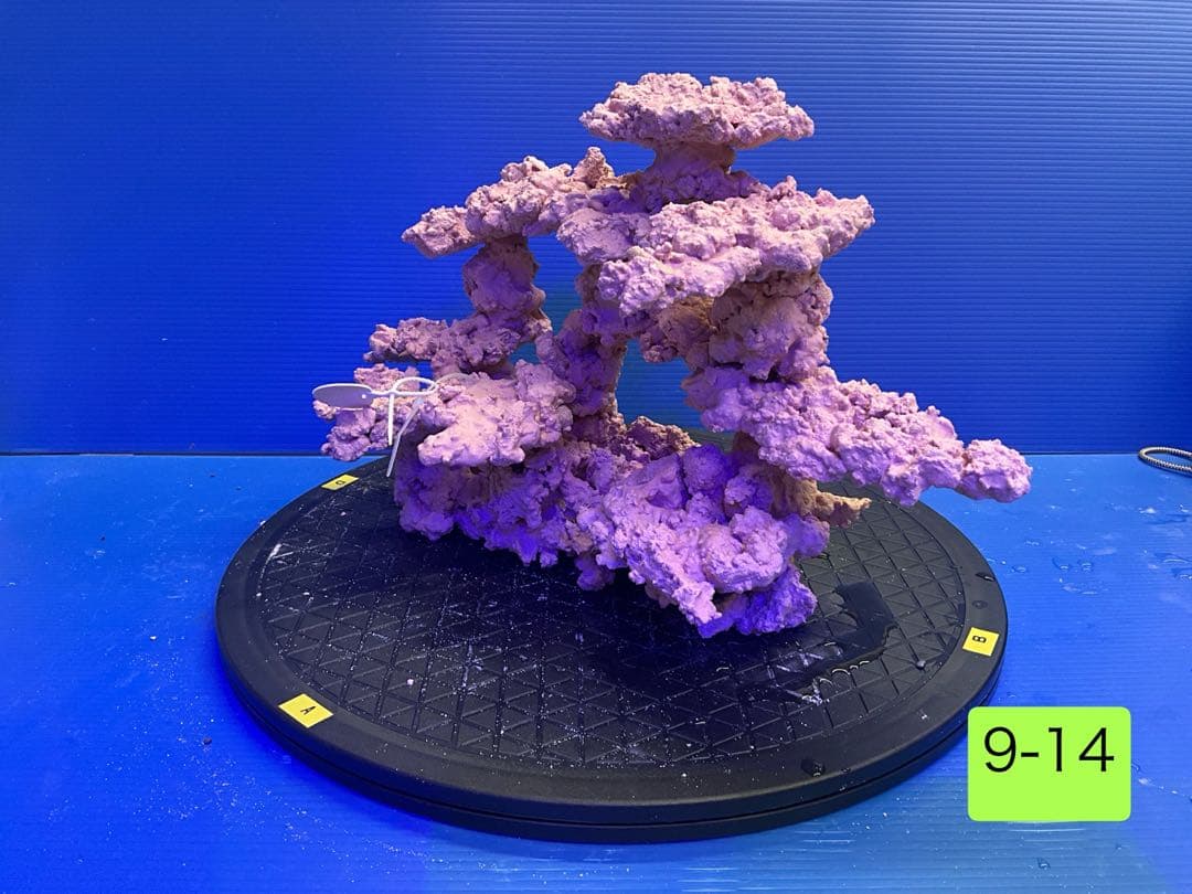 人工ライブロック　No.9-14 9-12 まとめて2個購入