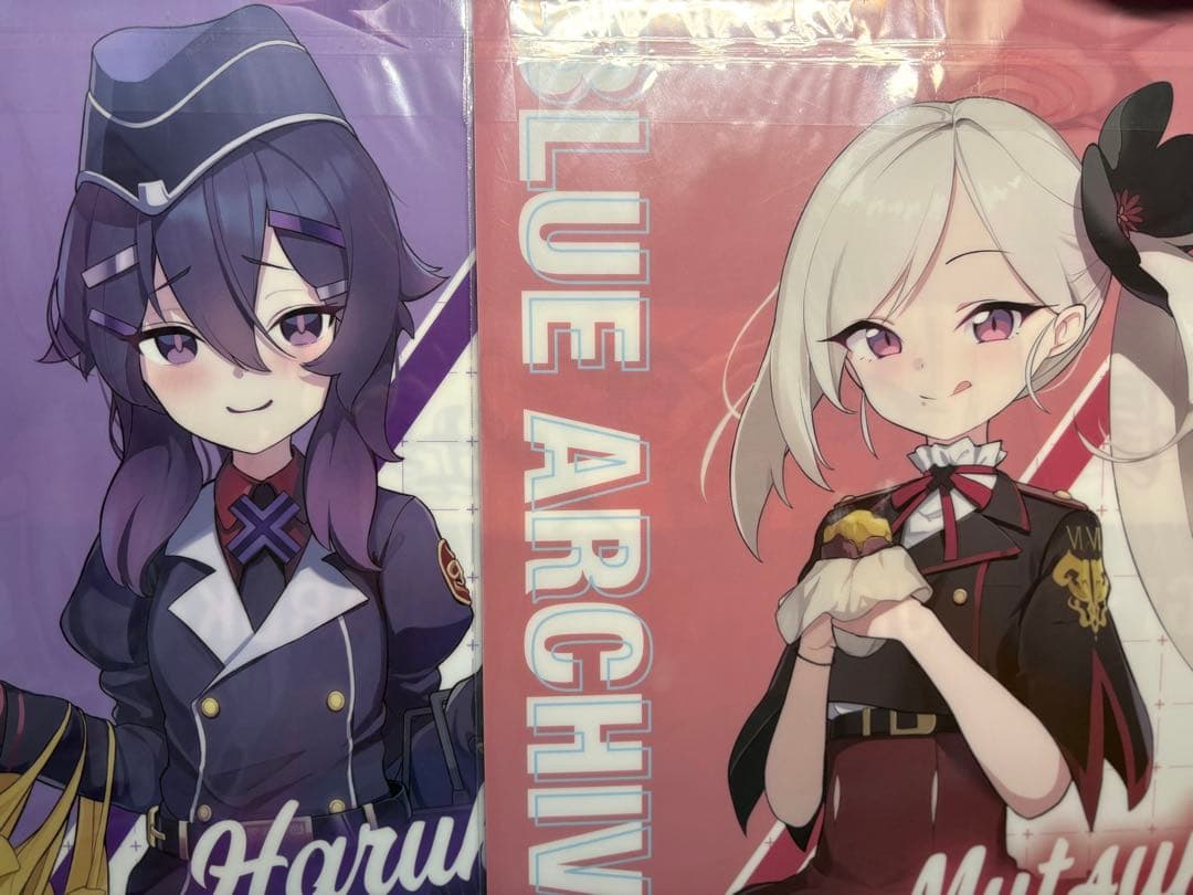 ブルアカ カヨコ アル ハルカ ムツキ ドン・キホーテ クリアファイル