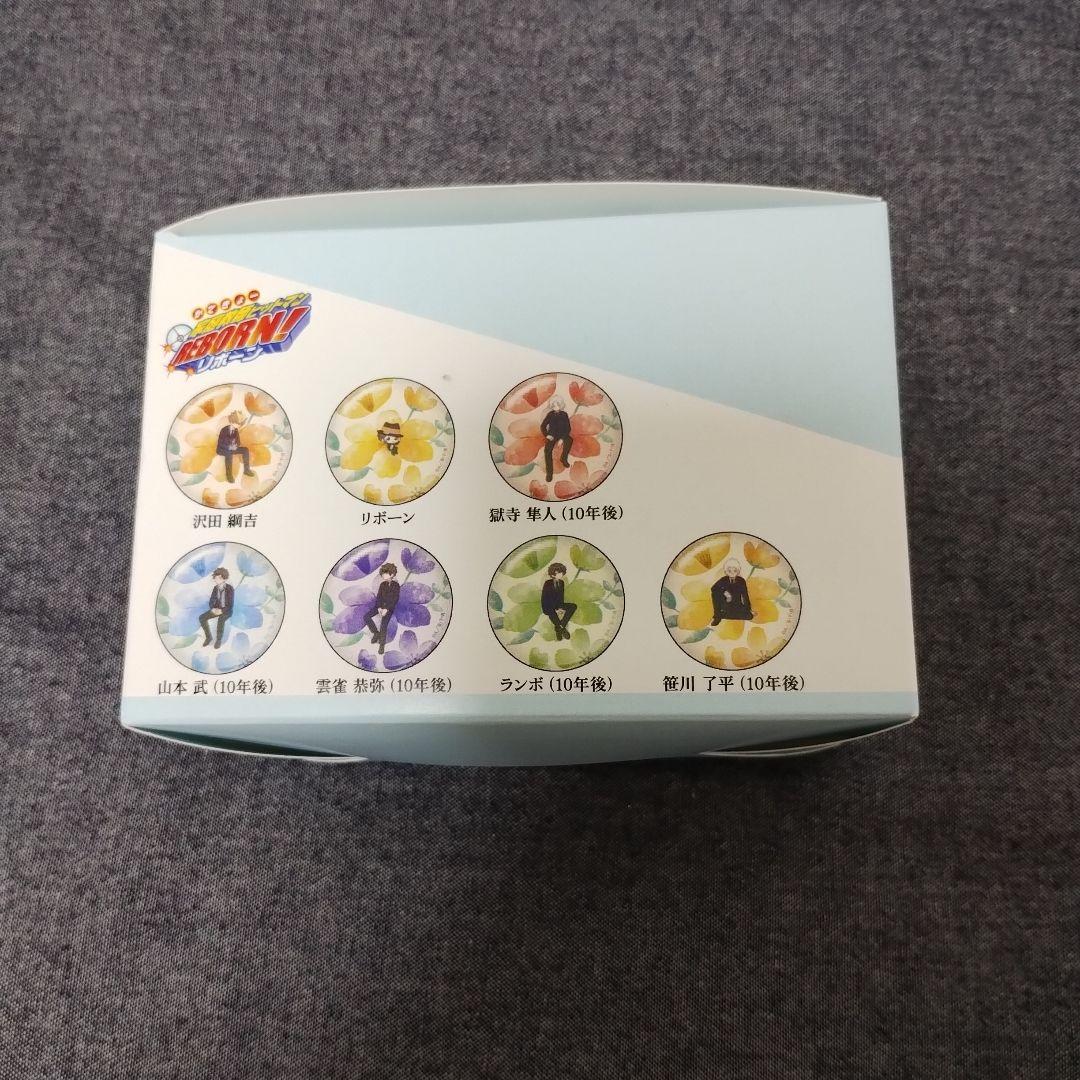 家庭教師ヒットマンREBORN!　botania 缶バッジ　カードステッカー