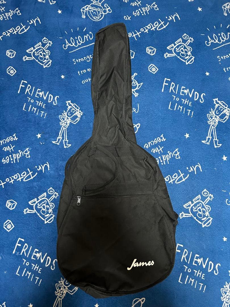 新春特価セール美品70年代黒沢楽器レアビンテージ❣️ジュリアンF-150バック虎杢