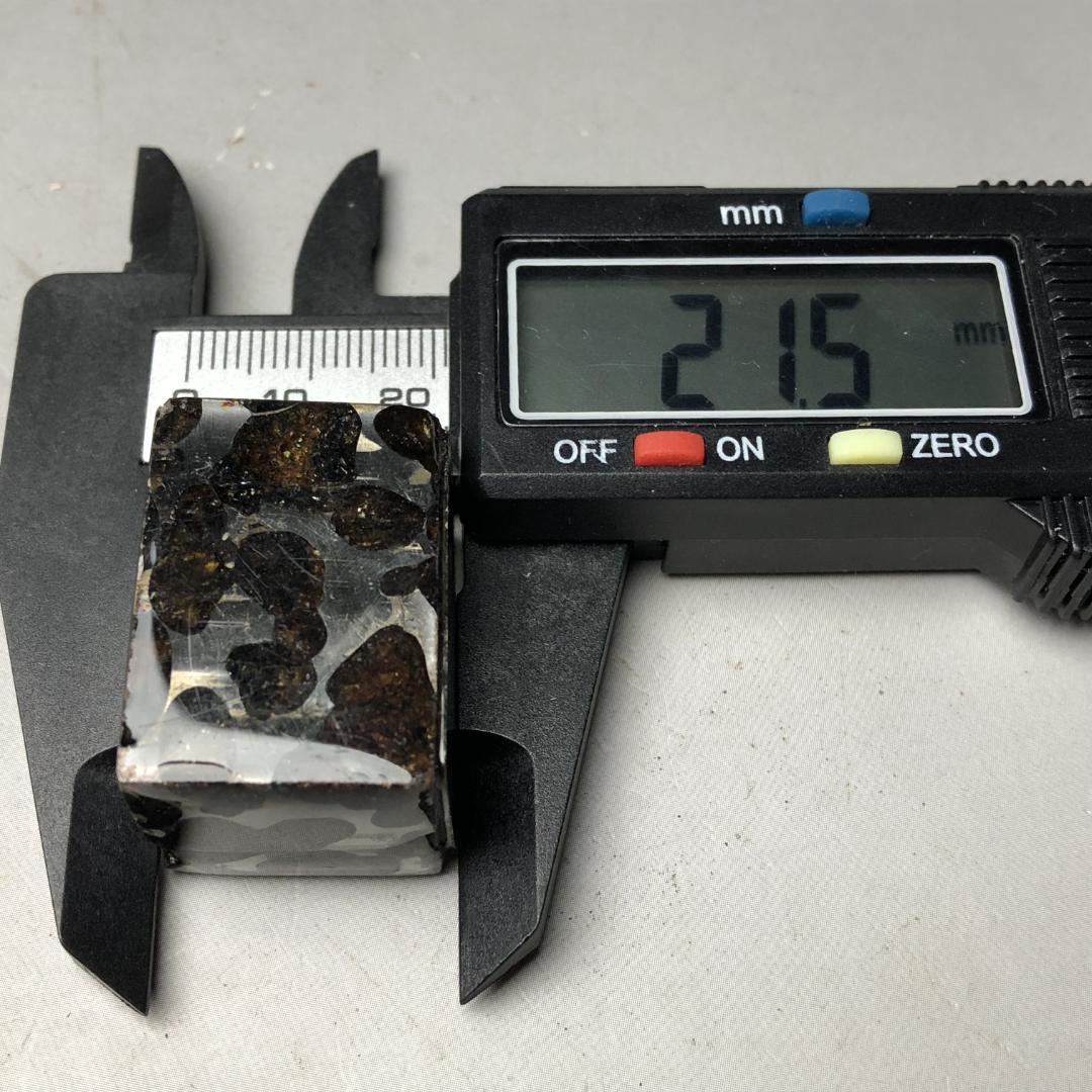 パラサイト隕石 隕石　石鉄隕石　セリコ隕石 美品　重さ約50ｇ　ケース付